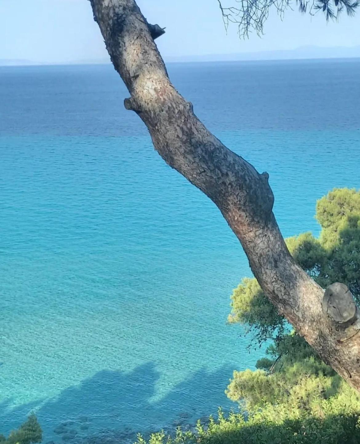 Villa Palma Kallithea  Dış mekan fotoğraf